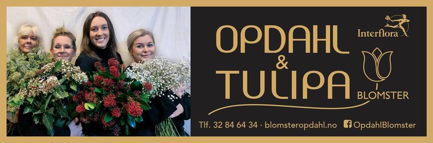 Skjermbilde 2024-12-03 180634